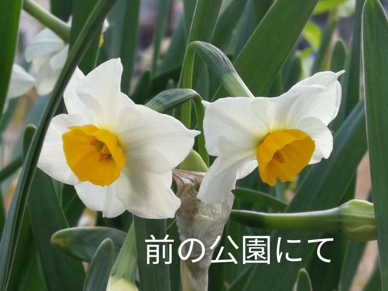 Base Osaka Apartment ภายนอก รูปภาพ